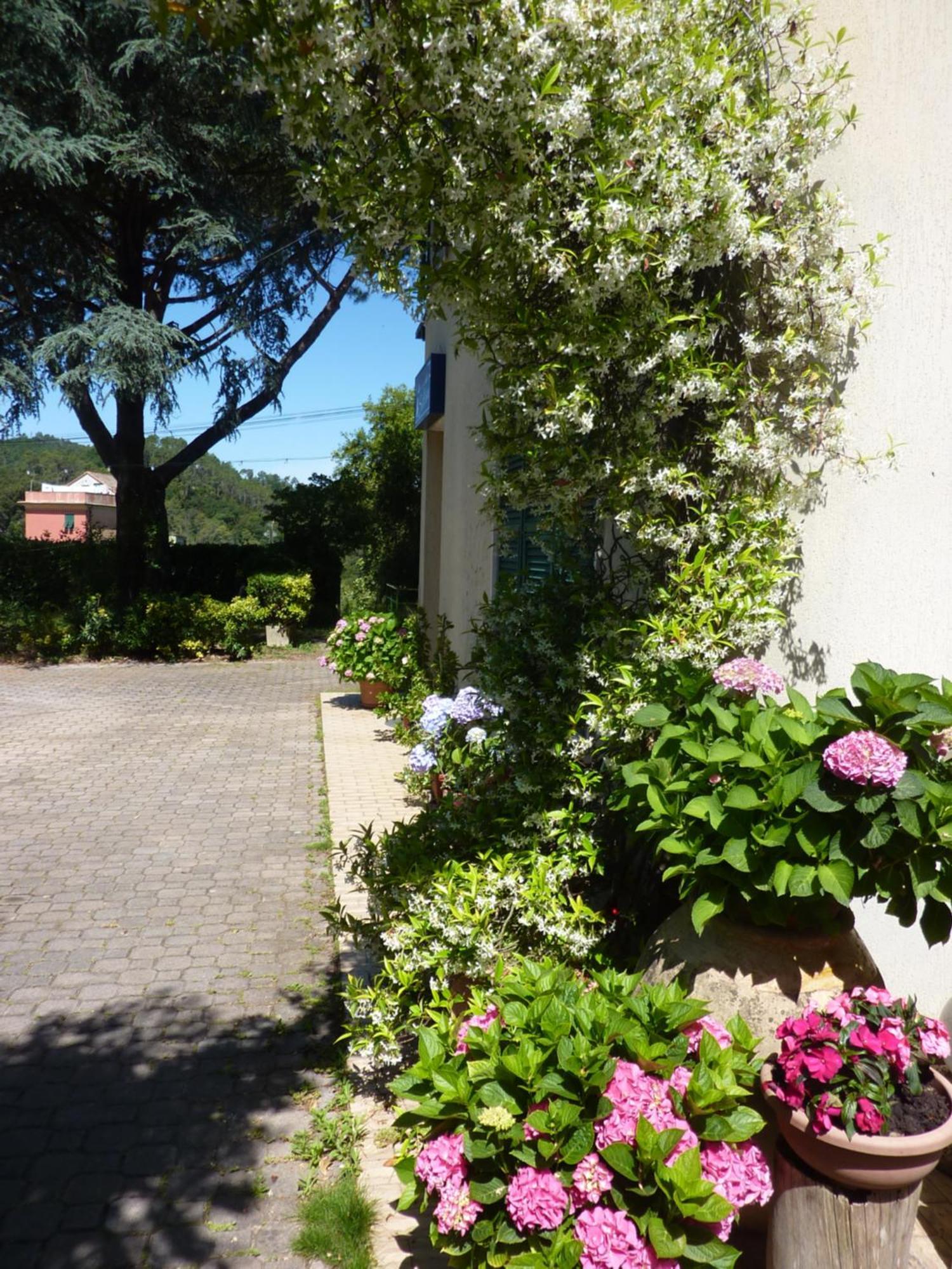 Hotel Silvia Framura - Cinque Terre المظهر الخارجي الصورة